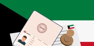 വിസ വെബ്സൈറ്റിൽ അപ്ഡേറ്റുകൾ; ഓൺലൈനായി വിസ ലഭിക്കുന്നത് സുഗമമാകും