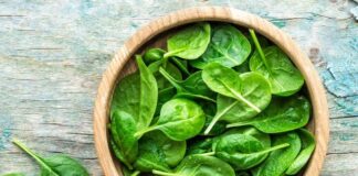 പ്രതിരോധശേഷി കൂട്ടാനും ദഹന പ്രശ്നങ്ങൾ അകറ്റാനും സഹായിക്കുന്ന ആറ് ഔഷധ ഇലകൾ