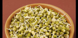 രാത്രിയിൽ മുളപ്പിച്ച പയർവർഗങ്ങൾ കഴിക്കാമോ? ന്യൂട്രീഷ്യനിസ്റ്റ് പറയുന്നു