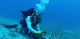 കുവൈത്തിൽ ഇന്റർനെറ്റ് സേവനങ്ങളിൽ തടസ്സം