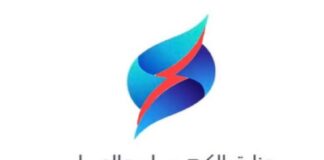 വൈദ്യുതി മന്ത്രാലയത്തിൽ പ്രവാസി ജീവനക്കാരുടെ എണ്ണം 2.3% മാത്രം