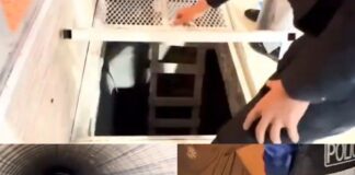 2021 മുതൽ വഫ്രയിലെ ഫാമിൽ ഒളിവിൽ; കുവൈത്ത് പൗരത്വം വ്യാജമായി ചമച്ച കുറ്റവാളി അറസ്റ്റില്